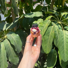 Cargar imagen en el visor de la galería, 🧁💕 MINI CUPCAKES 💕🧁
